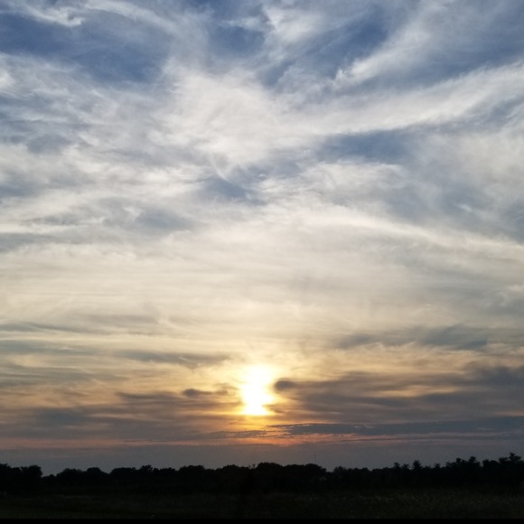 Meet your Posher, Raquel - Picture 1 of 1